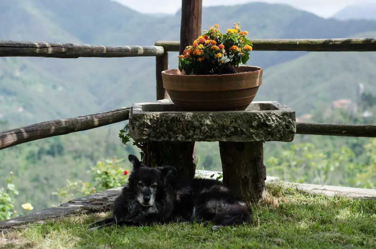 Il Frutteto Natura A Relax Stazzema Nyaraló